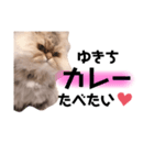 ゆきちスタンプ2（個別スタンプ：6）