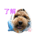 セラのひと言（個別スタンプ：1）