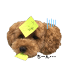 セラのひと言（個別スタンプ：5）