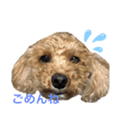セラのひと言（個別スタンプ：7）