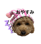 セラのひと言（個別スタンプ：8）