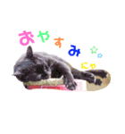何度も使えるあいさつ（個別スタンプ：13）