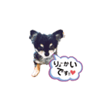 ダイア君（個別スタンプ：3）