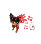 ダイア君（個別スタンプ：8）