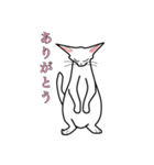 使える 可愛い ネコ（個別スタンプ：11）