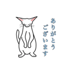 使える 可愛い ネコ（個別スタンプ：21）