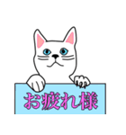 使える 可愛い ネコ（個別スタンプ：24）