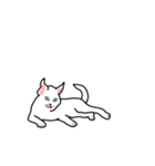 使える 可愛い ネコ（個別スタンプ：31）