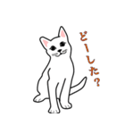 使える 可愛い ネコ（個別スタンプ：34）