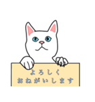 使える 可愛い ネコ（個別スタンプ：37）