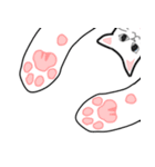使える 可愛い ネコ（個別スタンプ：38）