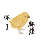 CHIYOGAMI2（個別スタンプ：2）