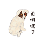 CHIYOGAMI2（個別スタンプ：9）