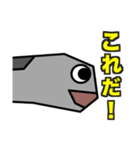 肺魚と金魚の肺魚スタンプ（個別スタンプ：12）