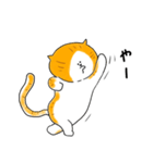 打撃ねこ（個別スタンプ：29）