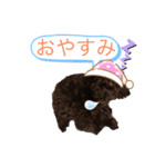トイプーの日常。（個別スタンプ：6）