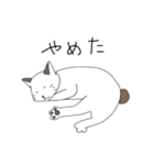 ボブテイル猫のスタンプ（個別スタンプ：9）