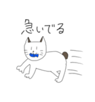 ボブテイル猫のスタンプ（個別スタンプ：31）