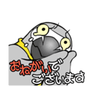 ヨウムの飛夏(ぴなつ)（個別スタンプ：10）