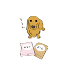 日常で使えるダックスさん（個別スタンプ：4）