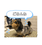 みっきー日和（個別スタンプ：2）