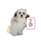 みっきー日和（個別スタンプ：5）