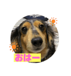 みっきー日和（個別スタンプ：7）