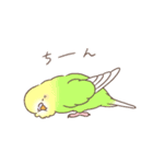 すこやかインコ 4（個別スタンプ：11）