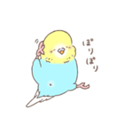 すこやかインコ 4（個別スタンプ：22）