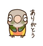 ウロコインコさんスタンプ（個別スタンプ：4）