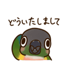 ウロコインコさんスタンプ（個別スタンプ：5）