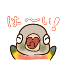 ウロコインコさんスタンプ（個別スタンプ：6）