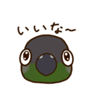 ウロコインコさんスタンプ（個別スタンプ：7）