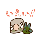ウロコインコさんスタンプ（個別スタンプ：11）