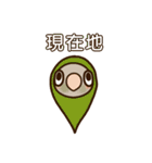 ウロコインコさんスタンプ（個別スタンプ：12）