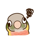 ウロコインコさんスタンプ（個別スタンプ：15）