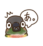 ウロコインコさんスタンプ（個別スタンプ：16）