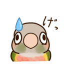 ウロコインコさんスタンプ（個別スタンプ：17）