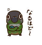 ウロコインコさんスタンプ（個別スタンプ：19）