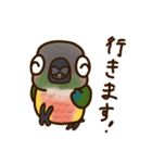 ウロコインコさんスタンプ（個別スタンプ：20）
