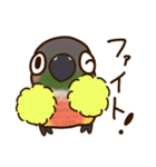 ウロコインコさんスタンプ（個別スタンプ：25）