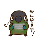 ウロコインコさんスタンプ（個別スタンプ：26）