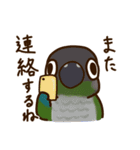 ウロコインコさんスタンプ（個別スタンプ：28）