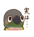 ウロコインコさんスタンプ（個別スタンプ：31）