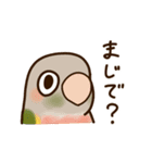 ウロコインコさんスタンプ（個別スタンプ：36）