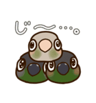 ウロコインコさんスタンプ（個別スタンプ：37）