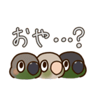 ウロコインコさんスタンプ（個別スタンプ：38）