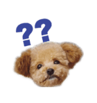 Grammyスタンプ-Face-（個別スタンプ：1）