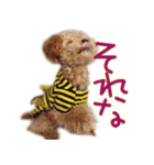 Grammyスタンプ-Face-（個別スタンプ：2）