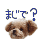 Grammyスタンプ-Face-（個別スタンプ：5）